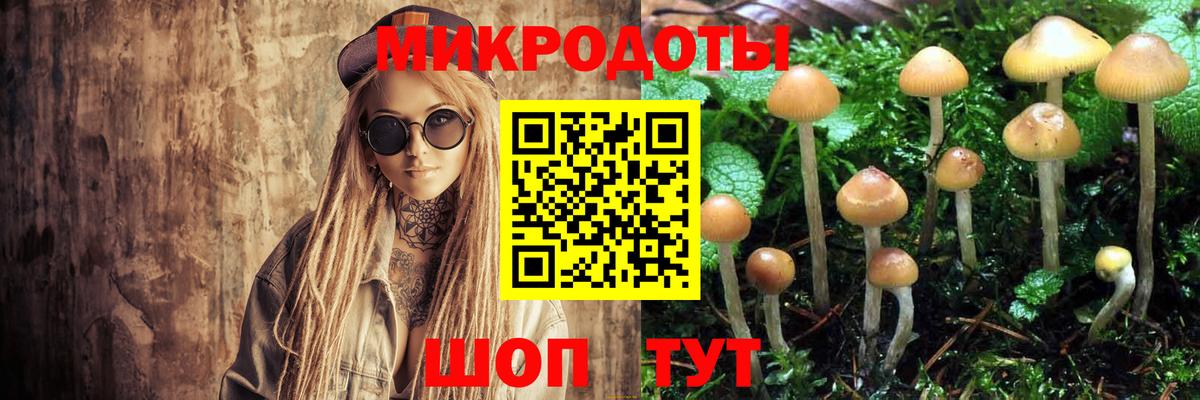 Галлюциногенные грибы Magic Shrooms Сертолово
